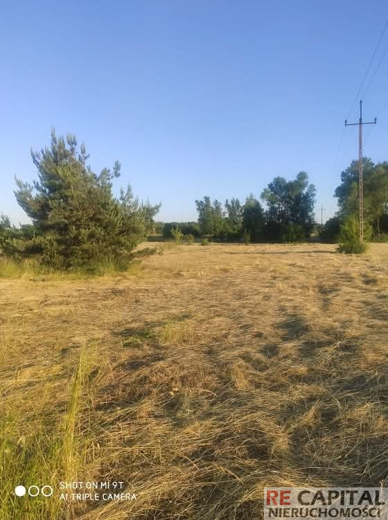 Działka Sprzedaż Nowa Mała Wieś