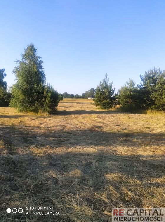 Działka Sprzedaż Nowa Mała Wieś