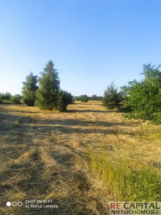 Działka Sprzedaż Nowa Mała Wieś