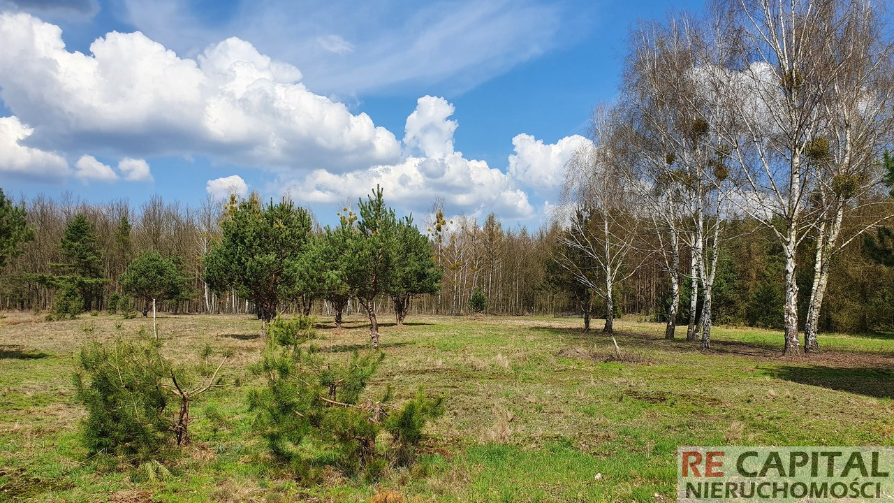 Działka Sprzedaż Szymanówek