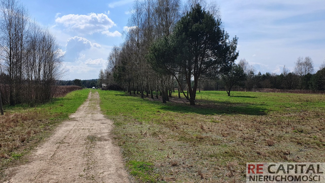 Działka Sprzedaż Szymanówek
