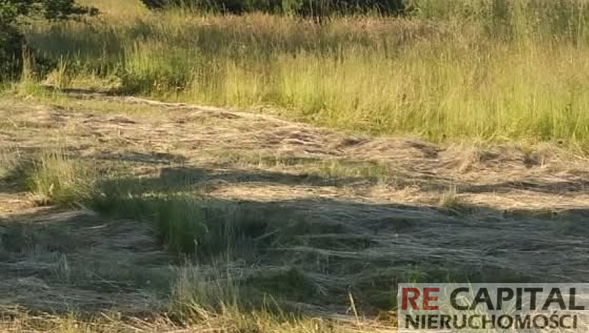Działka Sprzedaż Nowa Mała Wieś