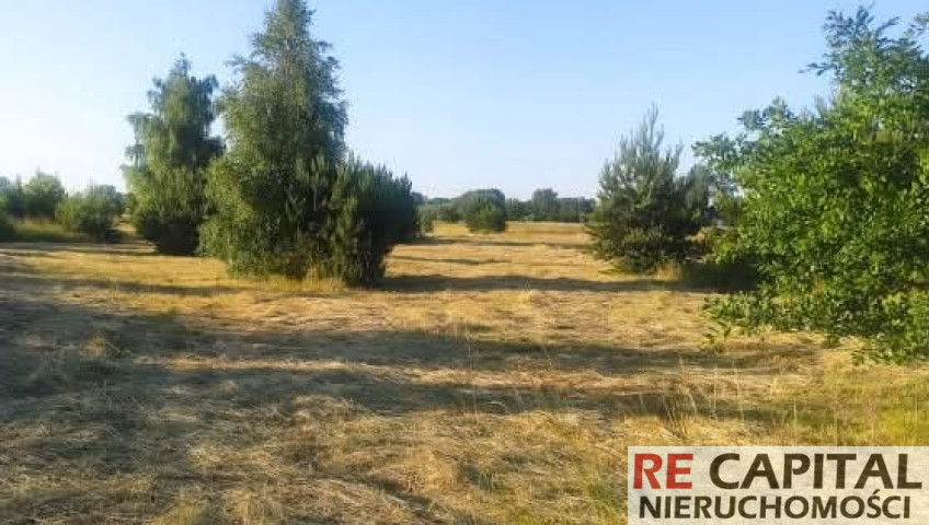 Działka Sprzedaż Nowa Mała Wieś